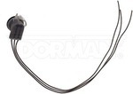 645907 - : Front Park and Turn Signal Socket for Dorman Image