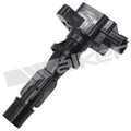 9212104 - : Ignition Coil for Walker Products Inc. - Image