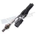 25024102 - : Walker Products 250-24102 Oxygen Sensor 4-W Direct Fit Narrow-Band for Walker Products Inc. - Image