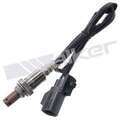 35064062 - : Walker Products 350-64062 Oxygen Sensor 4-W Air Fuel Ratio Wide-Band for Walker Products Inc. - Image