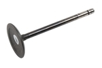 12610931 - : Engine Intake Valve for ACDelco Image