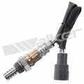 25024906 - : Walker Products 250-24906 Oxygen Sensor 4-W Direct Fit Narrow-Band for Walker Products Inc. - Image