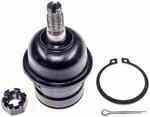 533213 - : Suspension Ball Joint - Front Lower for Dorman Image