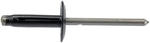 700038 - : Blind Rivet Retainer-GM-Diameter 3/16 In. for Dorman Image