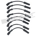 9246001 - : ThunderCore PRO 924-6001 Spark Plug Wire Set for Walker Products Inc. - Image