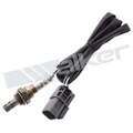 25024101 - : Walker Products 250-24101 Oxygen Sensor 4-W Direct Fit Narrow-Band for Walker Products Inc. - Image
