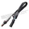 35035074 - : Walker Products 350-35074 Oxygen Sensor 5-W Wide-Band for Walker Products Inc. - Image