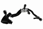 V103695 - : Engine Crankcase Vent Valve for Vaico Image