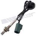 25024479 - : Walker Products 250-24479 Oxygen Sensor 4-W Direct Fit Narrow-Band for Walker Products Inc. - Image