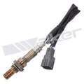 25024305 - : Walker Products 250-24305 Oxygen Sensor 4-W Direct Fit Narrow-Band for Walker Products Inc. - Image