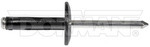 963205D - : GM Blind Rivet Retainer - Diameter 3/16 In. for Dorman Image