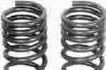 929928 - : Severe Heavy Duty Coil Spring Upgrade - 70 Percent Increased Load Handling for Dorman Image