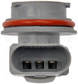 645562 - : Tail Lamp Socket for Dorman Image