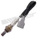 250241107 - : Walker Products 250-241107 Oxygen Sensor 4-W Direct Fit Narrow-Band for Walker Products Inc. - Image