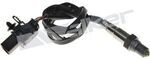 35035014 - : Walker Products 350-35014 Oxygen Sensor 5-W Wide-Band for Walker Products Inc. - Image