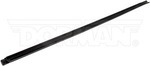25877 - : Outer Door Window Sweep - Front Left for Dorman Image