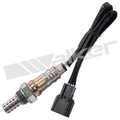 250241255 - : Walker Products 250-241255 Oxygen Sensor 4-W Direct Fit Narrow-Band for Walker Products Inc. - Image