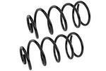 SMS6197 - : Coil Spring Set for MEVOTECH Image
