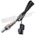 25024779 - : Walker Products 250-24779 Oxygen Sensor 4-W Direct Fit Narrow-Band for Walker Products Inc. - Image