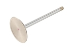 12569427 - : LS3 Intake Valve for ACDelco Image