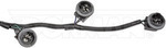 645930 - : Rear Passenger's Side Tail, Turn, Brake, And Backup Light Harness With Sockets - Right for Dorman Image