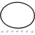 579010 - : Lock Ring For The Fuel Pump for Dorman Image