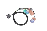 25975983 - : Tail Light Wiring Harness for ACDelco Image