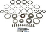 697031 - : Ring And Pinion Master Bearing And Installation Kit - Rear for Dorman Image