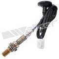 25024483 - : Walker Products 250-24483 Oxygen Sensor 4-W Direct Fit Narrow-Band for Walker Products Inc. - Image