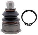 MS30524 - : Suspension Ball Joint - Front Lower for MEVOTECH Image