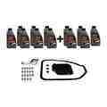 V520389XXL - : Oil Pan W/ Gasket, Transmission Oil (SP III / Special 12 ltr), Instl Hardware for Vaico Image