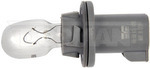 645558 - : Marker and Parking Lamp Socket for Dorman Image
