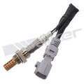 25024420 - : Walker Products 250-24420 Oxygen Sensor 4-W Direct Fit Narrow-Band for Walker Products Inc. - Image