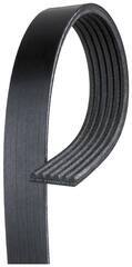 19355282 - : V-Ribbed Serpentine Belt for ACDelco Image