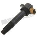 9212163 - : Ignition Coil for Walker Products Inc. - Image
