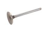 12582719 - : LS Exhaust Valve for ACDelco Image
