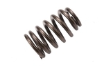 12686721 - : Valve Spring for ACDelco Image