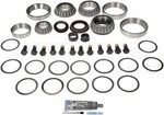 697039 - : Ring And Pinion Master Bearing And Installation Kit - Rear for Dorman Image