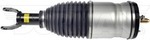 949357 - : Air Suspension Strut - Front Left for Dorman Image