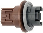 645121 - : Park And Turn Signal Socket for Dorman Image