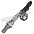 35064008 - : Walker Products 350-64008 Oxygen Sensor 4-W Air Fuel Ratio Wide-Band for Walker Products Inc. - Image