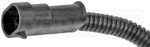 917788 - : Magnetic Crankshaft Position Sensor for Dorman Image