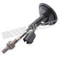 25024081 - : Walker Products 250-24081 Oxygen Sensor 4-W Direct Fit Narrow-Band for Walker Products Inc. - Image
