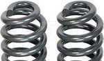 929945 - : Severe Heavy Duty Coil Spring Upgrade - 70 Percent Increased Load Handling - Front for Dorman Image