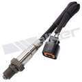 25024349 - : Walker Products 250-24349 Oxygen Sensor 4-W Direct Fit Narrow-Band for Walker Products Inc. - Image