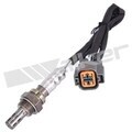 25024913 - : Walker Products 250-24913 Oxygen Sensor 4-W Direct Fit Narrow-Band for Walker Products Inc. - Image