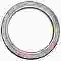 2561108 - : Exhaust Pipe Flange Gasket for BRExhaust Image