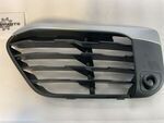 51117453987 - Body: Outer Grille for BMW: X1 Image