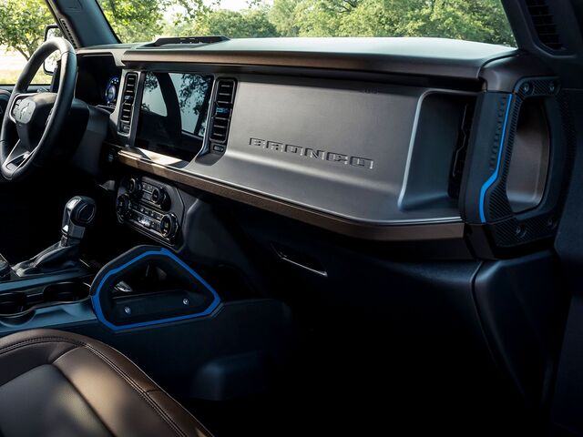 S2DZ78044E42AA - : Passenger Assist Handle, Grabber Blue for Ford: Bronco Image