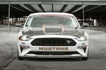 M16612AECJ - : 2018 Cobra Jet Carbon Fiber Hood for Ford Performance Image